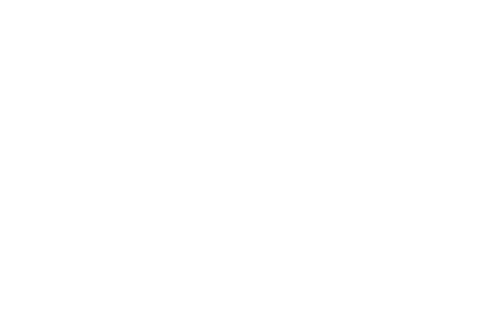 Hauptmerkmale - eine schematische Darstellung von Symbolen und Texten in Spalten